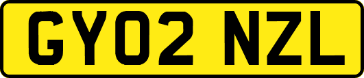 GY02NZL