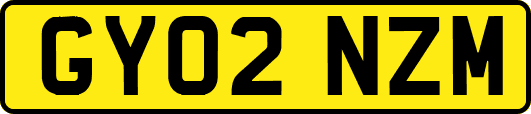 GY02NZM