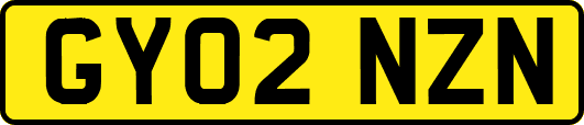 GY02NZN