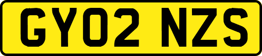 GY02NZS