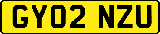 GY02NZU