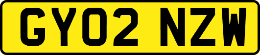 GY02NZW