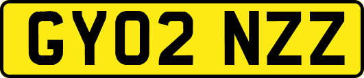 GY02NZZ