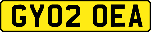 GY02OEA