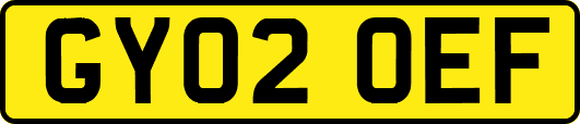 GY02OEF