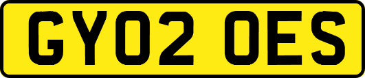 GY02OES