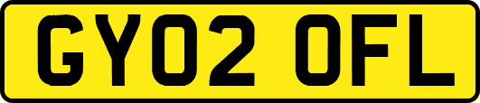 GY02OFL