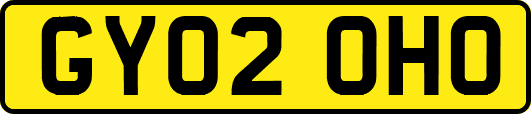 GY02OHO