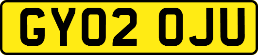 GY02OJU