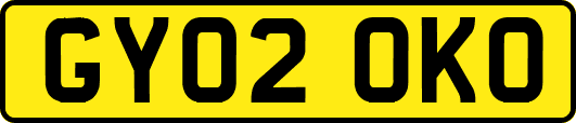 GY02OKO