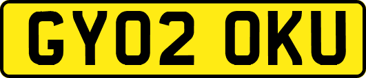 GY02OKU