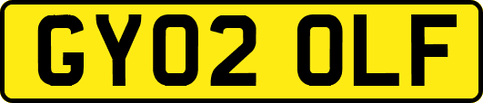 GY02OLF
