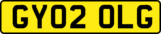 GY02OLG