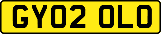 GY02OLO