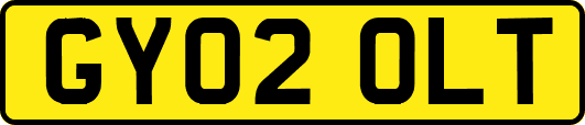 GY02OLT