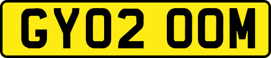 GY02OOM