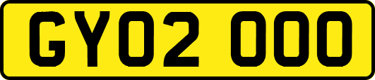 GY02OOO