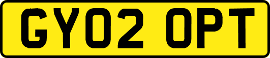 GY02OPT