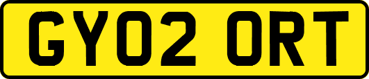GY02ORT