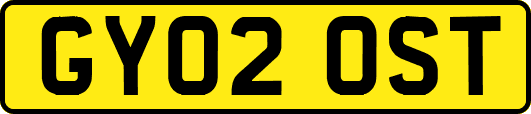 GY02OST