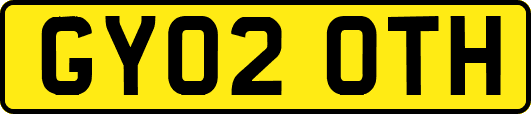 GY02OTH