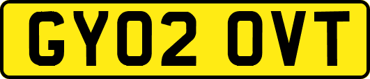GY02OVT