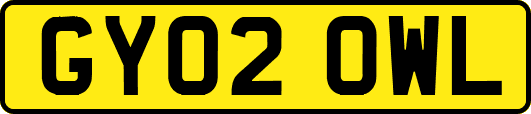 GY02OWL