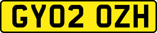 GY02OZH