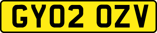 GY02OZV
