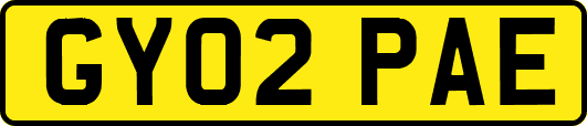 GY02PAE