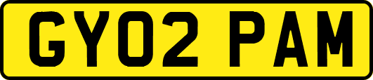 GY02PAM