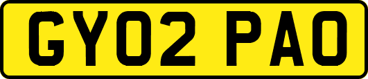 GY02PAO