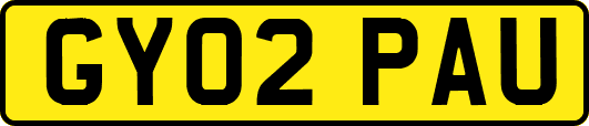 GY02PAU