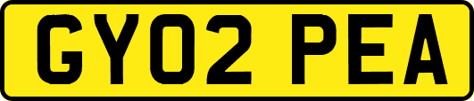 GY02PEA