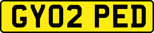 GY02PED