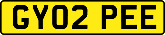 GY02PEE