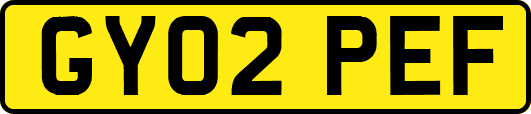 GY02PEF
