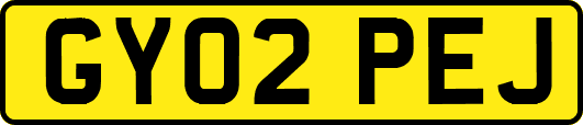 GY02PEJ