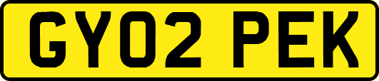 GY02PEK