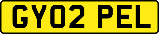 GY02PEL