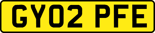 GY02PFE