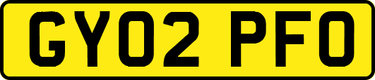 GY02PFO
