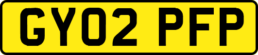 GY02PFP
