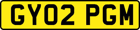 GY02PGM