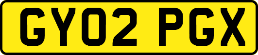 GY02PGX