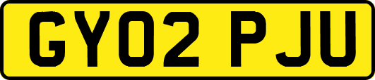 GY02PJU