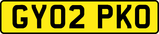 GY02PKO