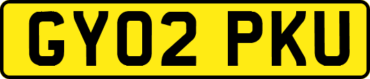 GY02PKU
