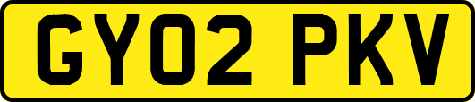 GY02PKV