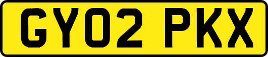GY02PKX
